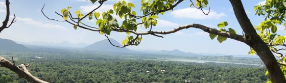Foto van uitzicht over landschap in Sri Lanka met de de achtergrond bergen en op de voorgrond een boomtak met groen blad.