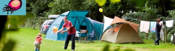 Camping met twee tenten. Vader en kind spelen met ballon. Linksboven de foto een afbeelding van een teek. 