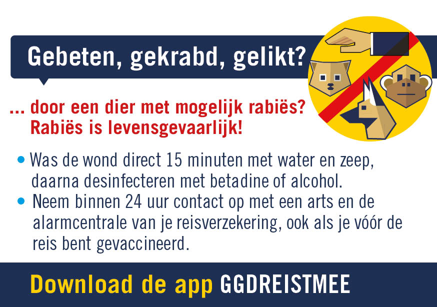 Sticker over stappenplak rabiës. Gebeten gekrabt, gelikt door een dier met mogelijk rabies? Rabies is levensgevaarlijk! Was de wond direct 15 minuten met water en zeep, daarna desinfecteren met betadine of alcohol. Neem binnen 24 uur contact op met een arts en de alarmcentrale van je reisverzekering, ook al je vóór de reis bent gevaccineerd. Download de app ggdreistmee.