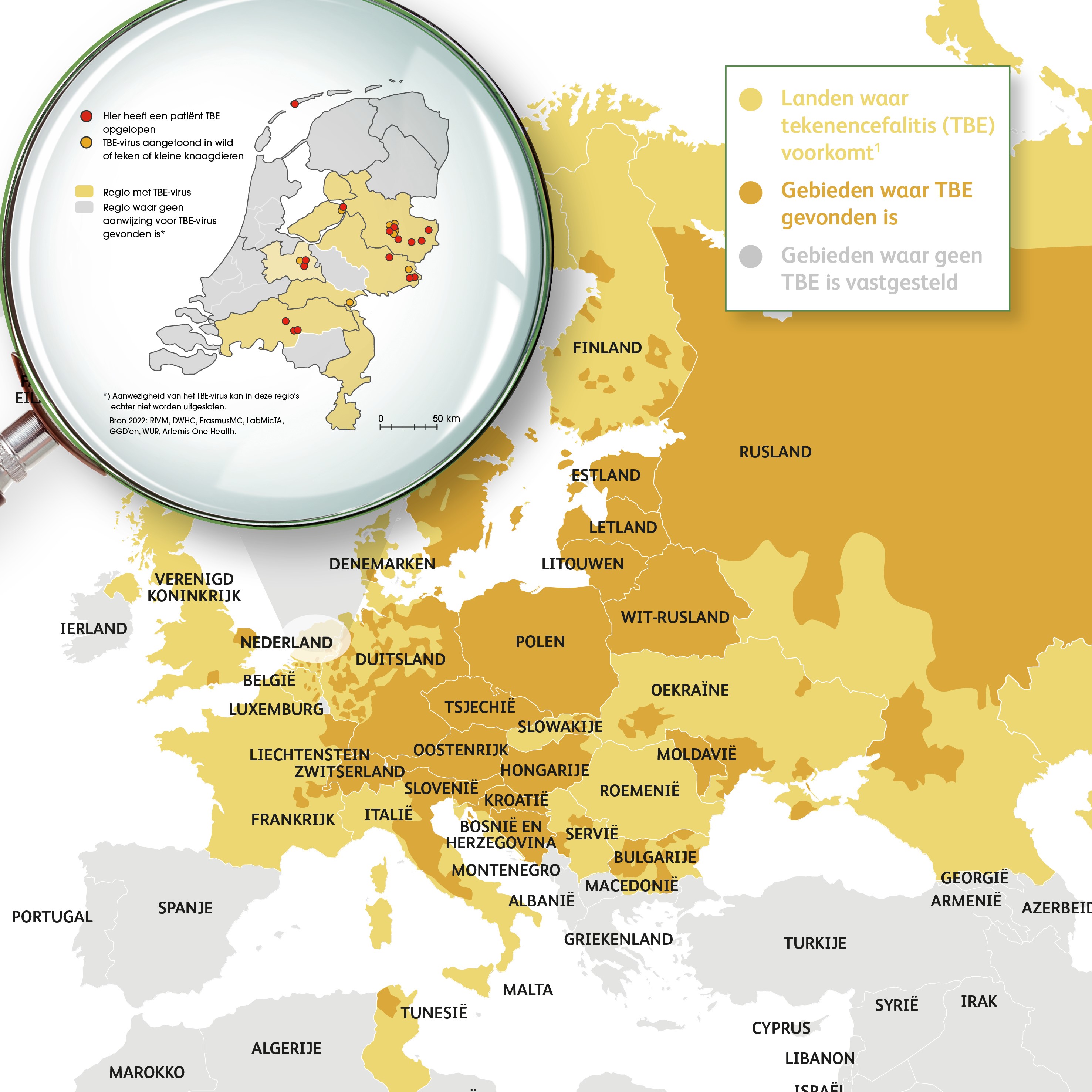 Kaart van Europa en Nederland met gele gebieden waar tekenencefalitis voorkomt, waar het is gevonden met een uitsnede van Nederland met enkele plaatsen waar een besmette teek is gevonden