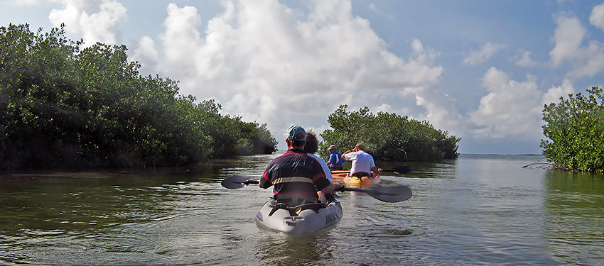 2 kanoboten met mensen aan het kanovaren in de mangroves Bonaire 