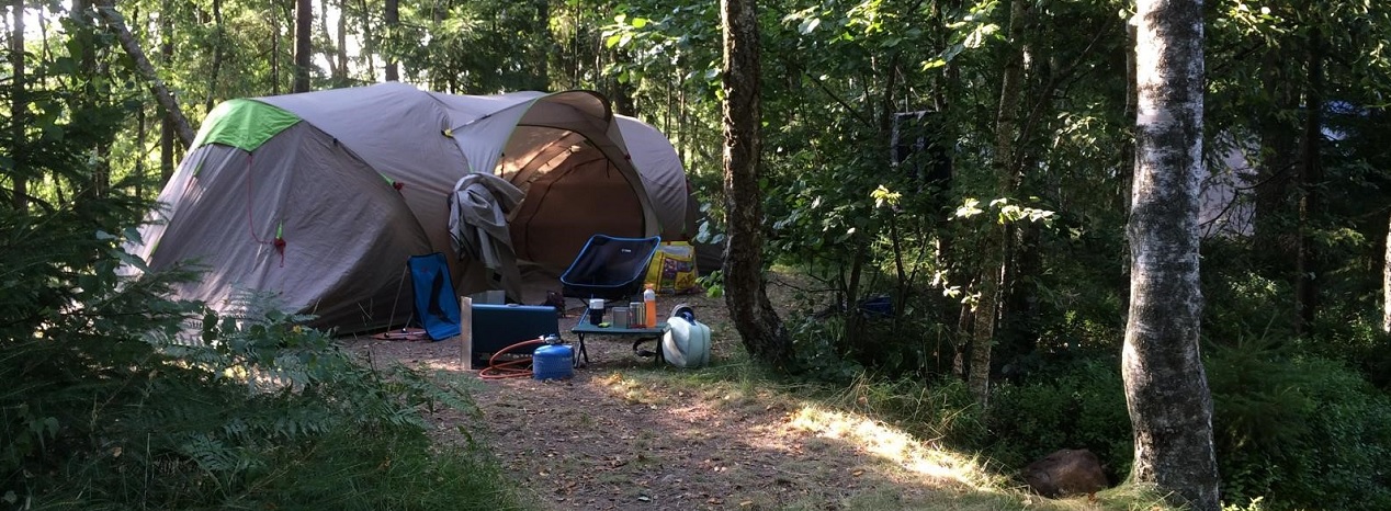 Afbeelding van een tent in het bos. Voor de tent liggen kampeerspullen