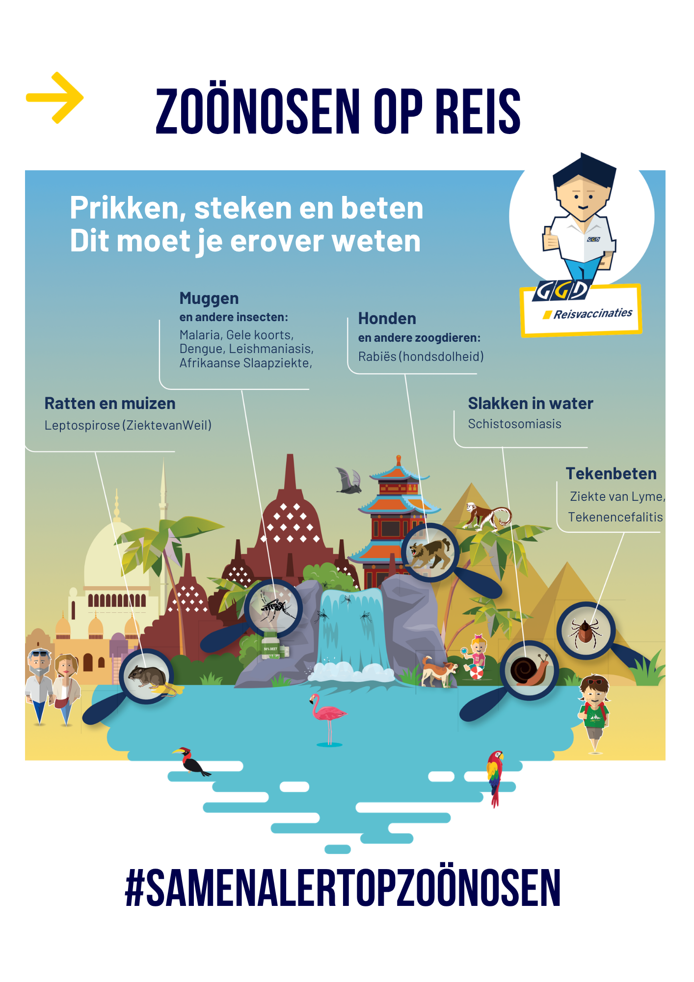 Prikken Stikken Beten dit moet je erover weten