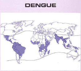 Dengue